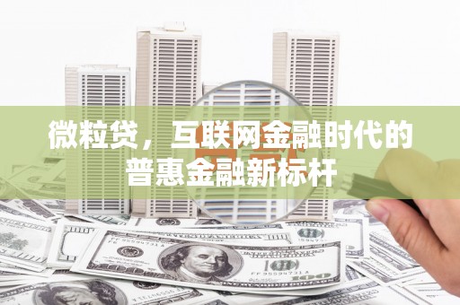 新埤微粒贷，互联网金融时代的普惠金融新标杆