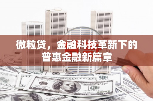 新埤微粒贷，金融科技革新下的普惠金融新篇章