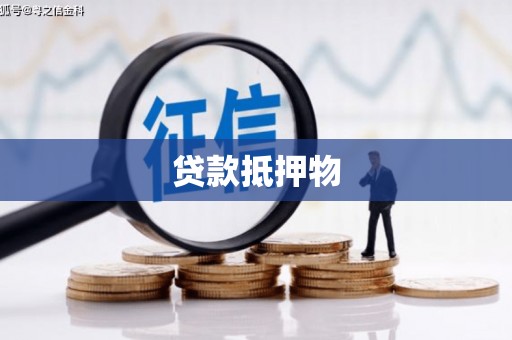 新埤贷款抵押物