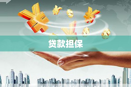 新埤贷款担保