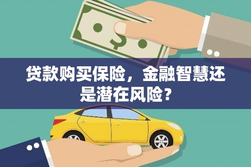新埤贷款购买保险，金融智慧还是潜在风险？