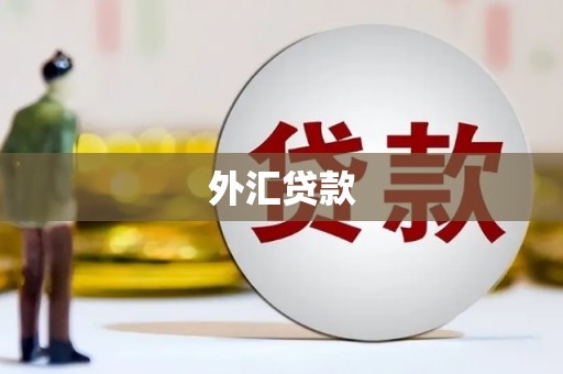 新埤外汇贷款