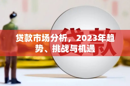 新埤贷款市场分析，2023年趋势、挑战与机遇
