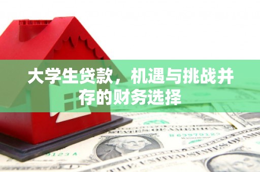 新埤大学生贷款，机遇与挑战并存的财务选择