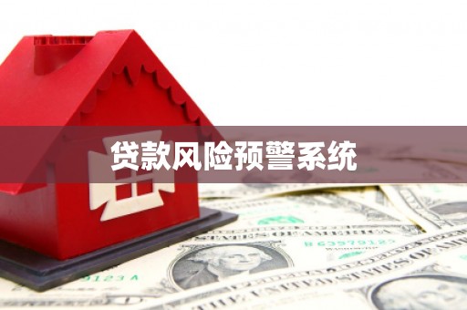 新埤贷款风险预警系统