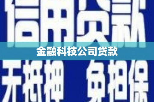 新埤金融科技公司贷款