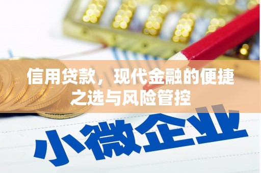 新埤信用贷款，现代金融的便捷之选与风险管控