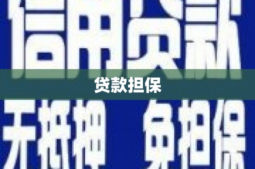 新埤贷款担保