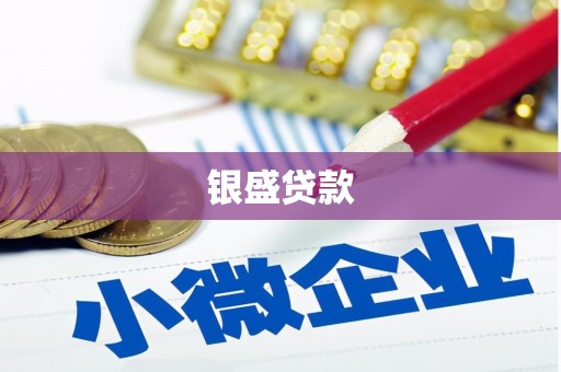 新埤银盛贷款