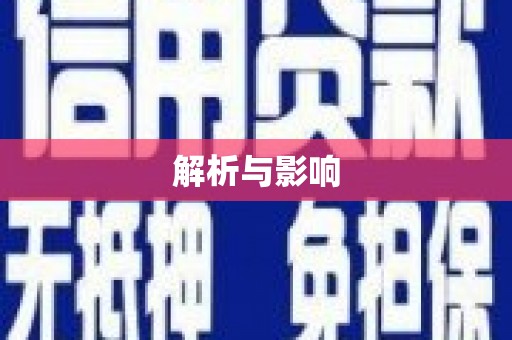 新埤解析与影响