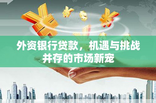 新埤外资银行贷款，机遇与挑战并存的市场新宠