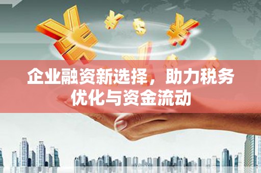 新埤企业融资新选择，助力税务优化与资金流动