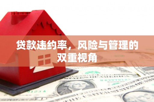 新埤贷款违约率，风险与管理的双重视角