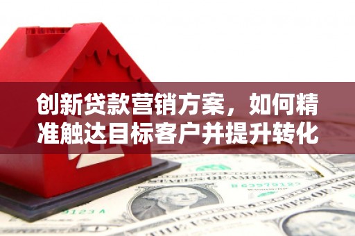 新埤创新贷款营销方案，如何精准触达目标客户并提升转化率