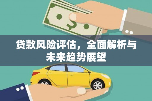 新埤贷款风险评估，全面解析与未来趋势展望
