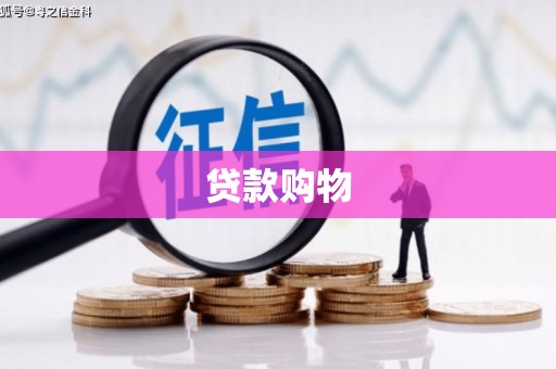 新埤贷款购物