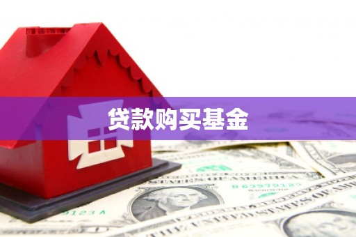 新埤贷款购买基金