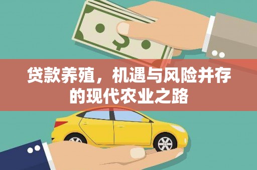 新埤贷款养殖，机遇与风险并存的现代农业之路