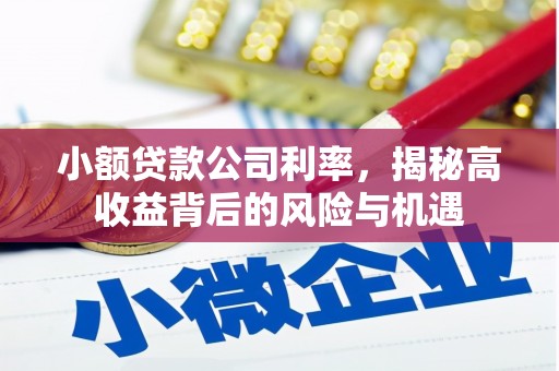 新埤小额贷款公司利率，揭秘高收益背后的风险与机遇