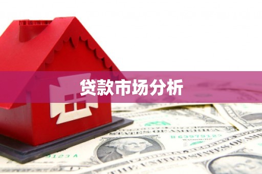 新埤贷款市场分析