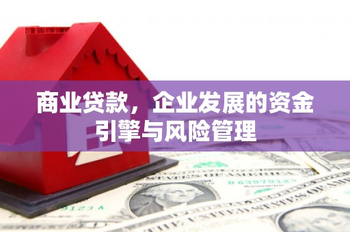 新埤商业贷款，企业发展的资金引擎与风险管理
