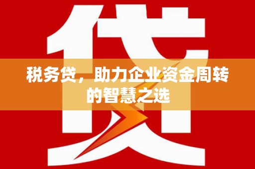 新埤税务贷，助力企业资金周转的智慧之选