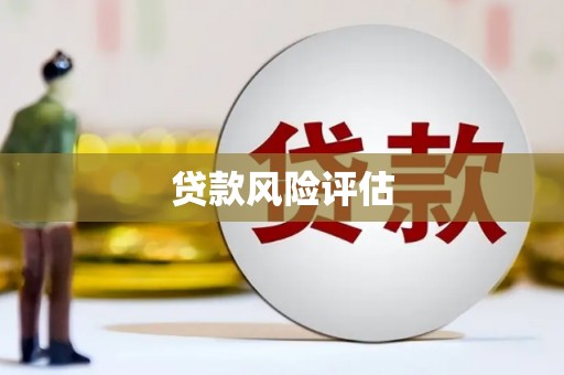 新埤贷款风险评估