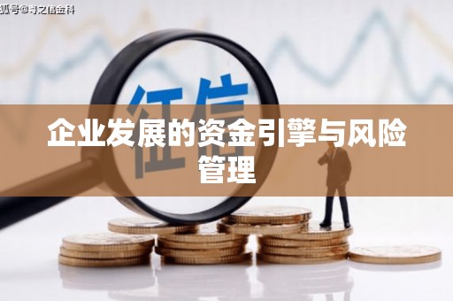 新埤企业发展的资金引擎与风险管理