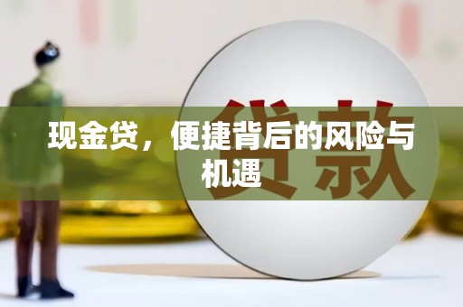 新埤现金贷，便捷背后的风险与机遇