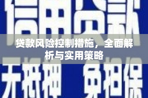 新埤贷款风险控制措施，全面解析与实用策略