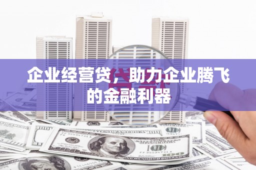 新埤企业经营贷，助力企业腾飞的金融利器
