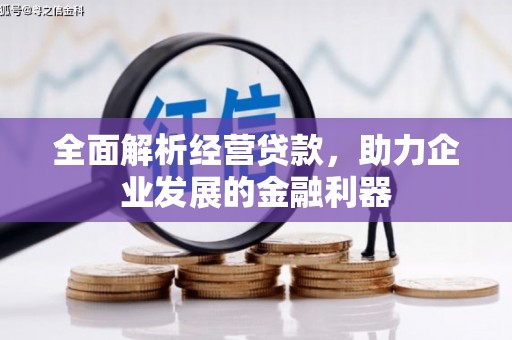 新埤全面解析经营贷款，助力企业发展的金融利器