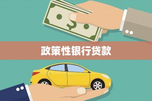 新埤政策性银行贷款