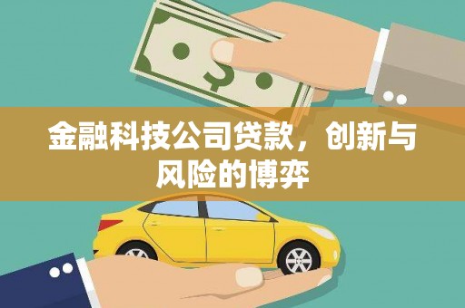 新埤金融科技公司贷款，创新与风险的博弈