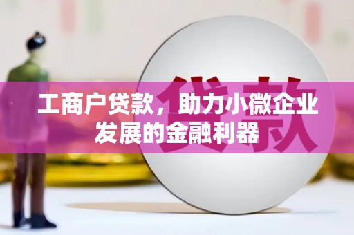 新埤工商户贷款，助力小微企业发展的金融利器