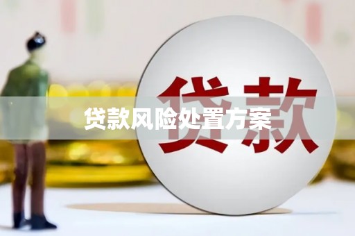 新埤贷款风险处置方案