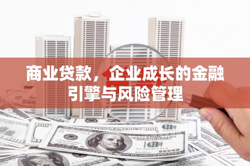 新埤商业贷款，企业成长的金融引擎与风险管理
