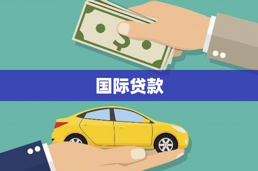 新埤国际贷款
