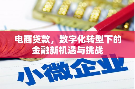 新埤电商贷款，数字化转型下的金融新机遇与挑战
