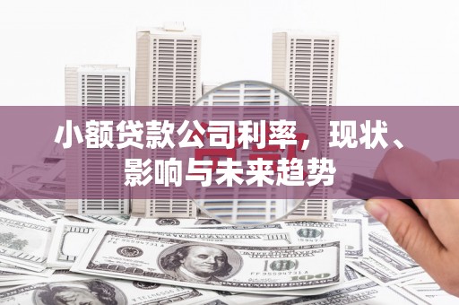 新埤小额贷款公司利率，现状、影响与未来趋势