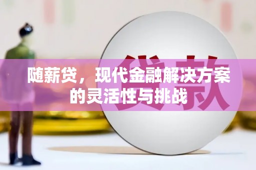 新埤随薪贷，现代金融解决方案的灵活性与挑战