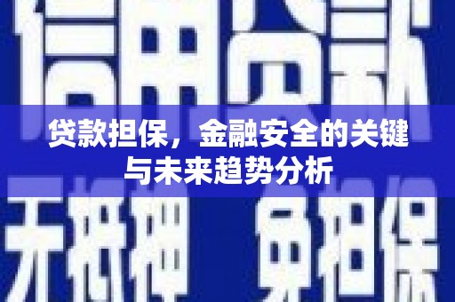 新埤贷款担保，金融安全的关键与未来趋势分析