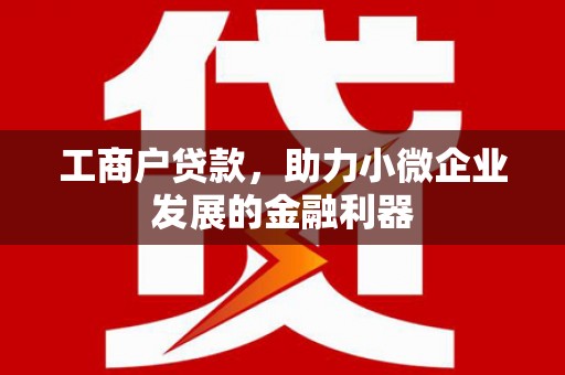 新埤工商户贷款，助力小微企业发展的金融利器