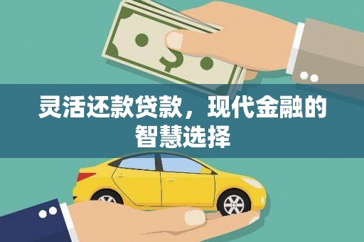 新埤灵活还款贷款，现代金融的智慧选择