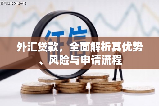 新埤外汇贷款，全面解析其优势、风险与申请流程