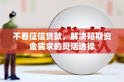 新埤不看征信贷款，解决短期资金需求的灵活选择