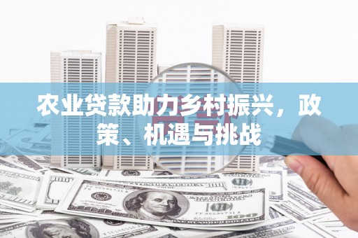 新埤农业贷款助力乡村振兴，政策、机遇与挑战