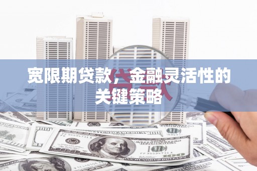 新埤宽限期贷款，金融灵活性的关键策略