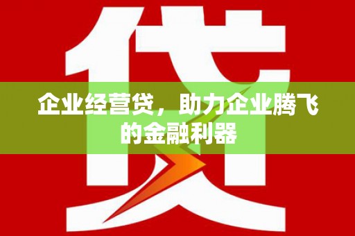 新埤企业经营贷，助力企业腾飞的金融利器