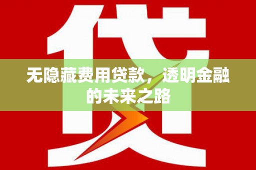 新埤无隐藏费用贷款，透明金融的未来之路